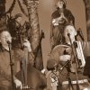 Koncert MeMPZ 2015_078